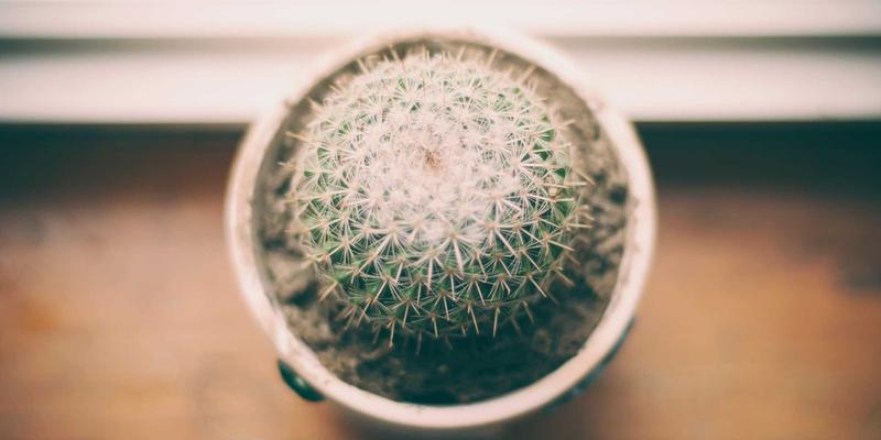 书签收藏48:高效管理你的数字资产,打造个人专属资源导航系统