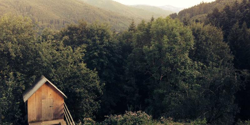 书签收藏55：高效资源导航与书签管理的终极实践指南