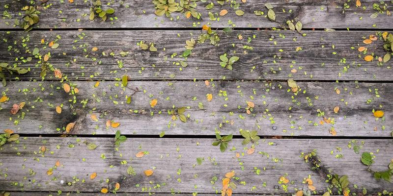 书签收藏57：高效管理网络资源的艺术与实践