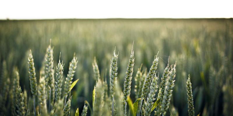 从收藏到创作：三步将你的书签管理资源导航转化为高质量内容