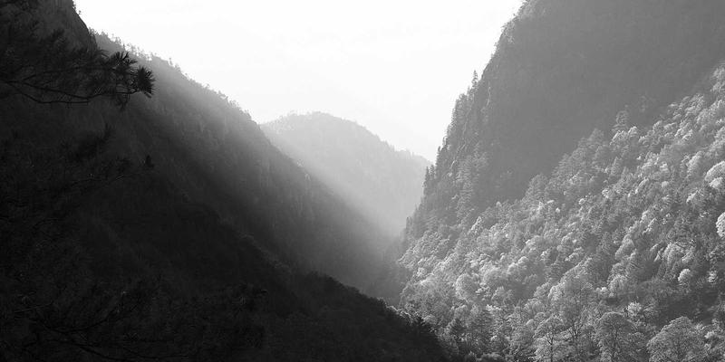 从收藏夹到资源导航中枢：浏览器书签栏进阶使用技巧打造高效工作流