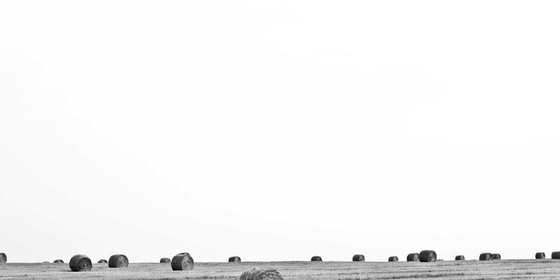 从混乱到秩序：网络资源书签收藏与管理的科学架构实践