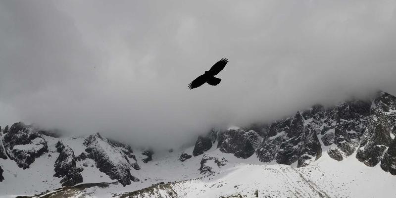 企业知识管理新范式：基于团队书签库的集体智慧沉淀与高效网络资源导航