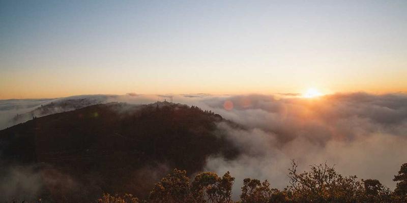 告别收藏夹混乱：基于浏览器的资源导航与书签管理高级技巧