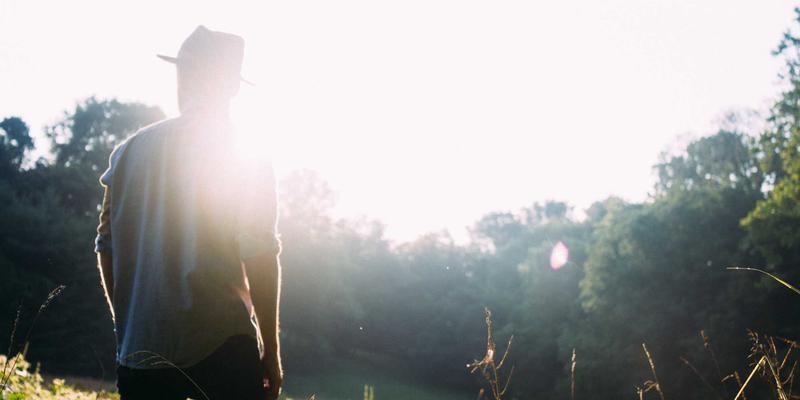 告别收藏夹混乱：用浏览器扩展与脚本实现书签管理自动化与智能化