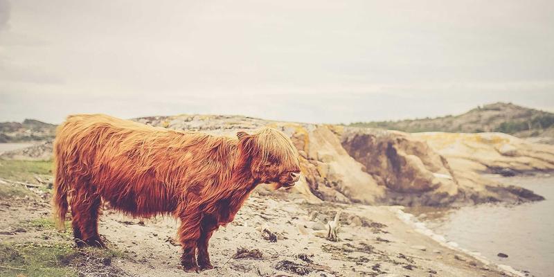 告别浏览器书签混乱：用Notion与Obsidian打造你的智能资源导航系统