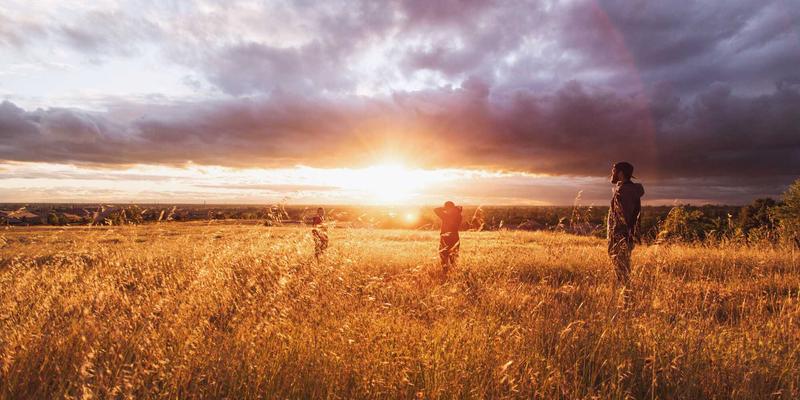浏览器书签安全备份与恢复：防止数据丢失的完整策略