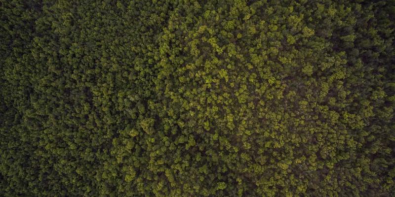 跨浏览器书签同步终极方案：告别数据孤岛，实现无缝网址导航