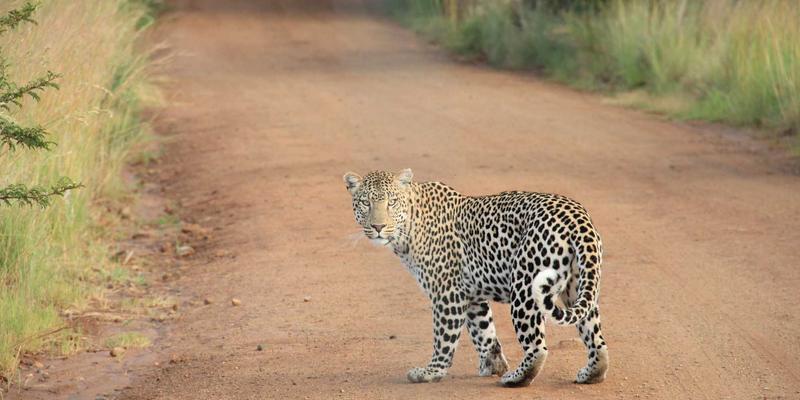 高效管理网络资源：现代书签收藏应用如何重塑你的网址导航体验